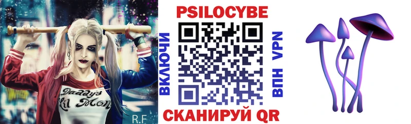 где найти   Таганрог  Псилоцибиновые грибы мухоморы 