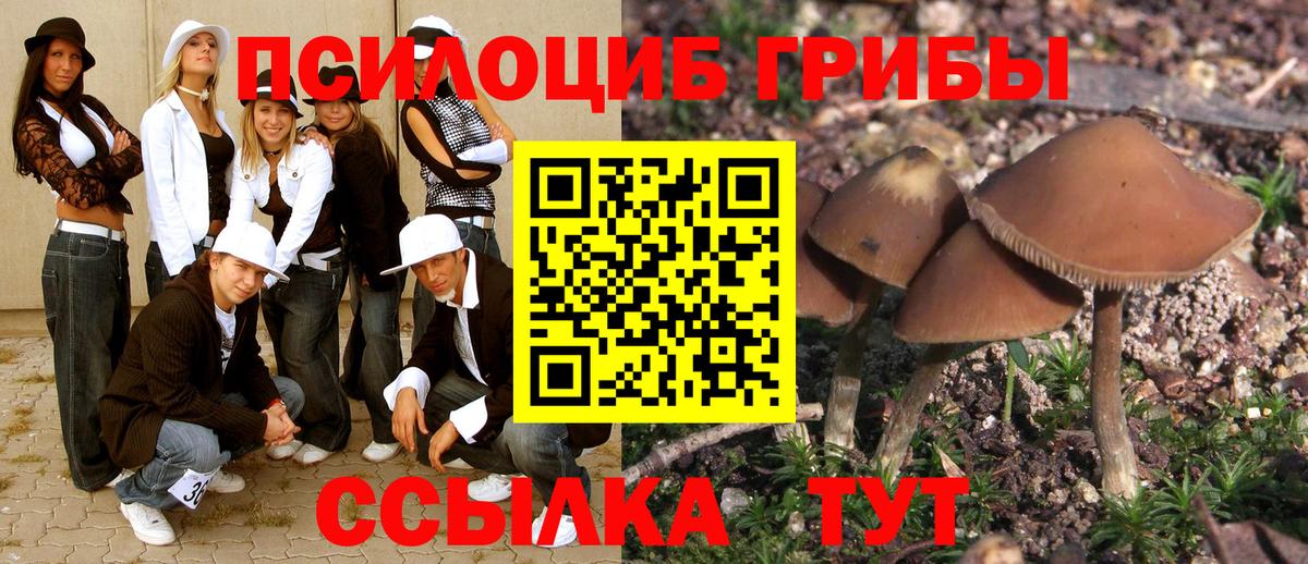 Псилоцибиновые грибы мицелий Таганрог