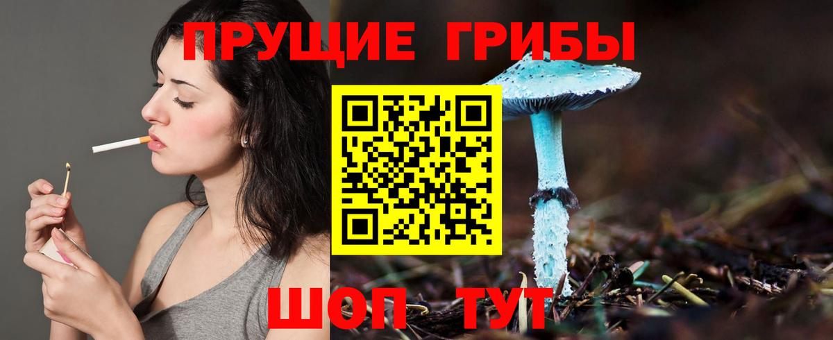 Галлюциногенные грибы мухоморы Таганрог