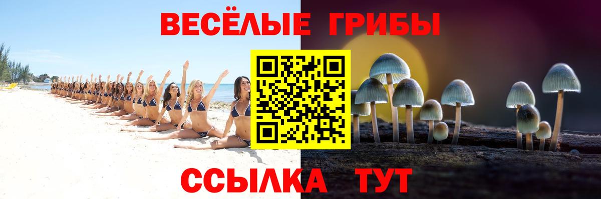 Псилоцибиновые грибы прущие грибы  Вход с VPN  Таганрог 